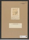 Fenestella barbadensis Grev. (de-Toni-Nr.: Genus 179, Species 4478) Zeichnungen Sammlung Grunow Nr. 8046 (NHMW-BOT-W0377356)